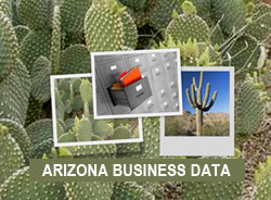 Arizona Business Data